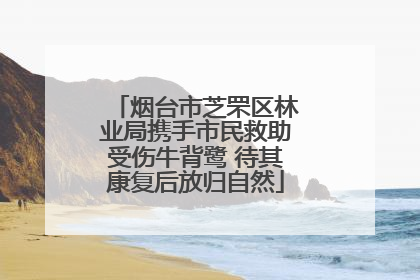 烟台市芝罘区林业局携手市民救助受伤牛背鹭 待其康复后放归自然