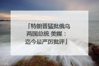 特朗普猛批俄乌两国总统 美媒：迄今最严厉批评