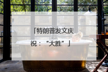 特朗普发文庆祝：“大胜”