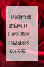特朗普威胁自6月1日起对欧盟商品征收50%关税