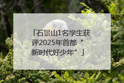 石景山1名学生获评2025年首都“新时代好少年”