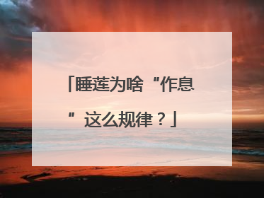 睡莲为啥“作息”这么规律？