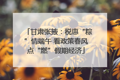 甘肃张掖：税惠“粽”情端午 看政策春风点“燃”假期经济
