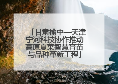 甘肃榆中—天津宁河科技协作推动高原夏菜智慧育苗与品种革新工程