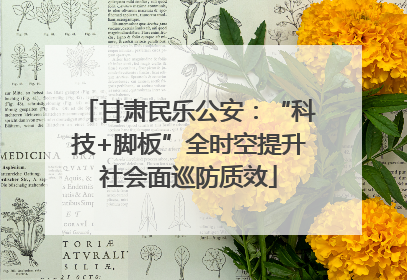 甘肃民乐公安：“科技+脚板”全时空提升社会面巡防质效