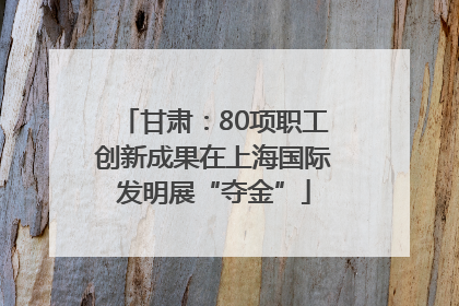 甘肃：80项职工创新成果在上海国际发明展“夺金”