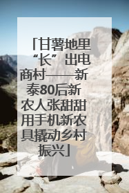 甘薯地里“长”出电商村——新泰80后新农人张甜甜用手机新农具撬动乡村振兴