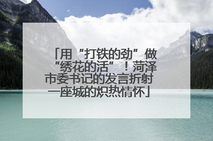 用“打铁的劲”做“绣花的活”！菏泽市委书记的发言折射一座城的炽热情怀