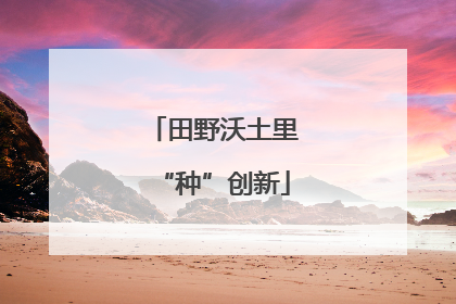 田野沃土里“种”创新
