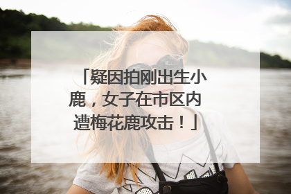 疑因拍刚出生小鹿，女子在市区内遭梅花鹿攻击！