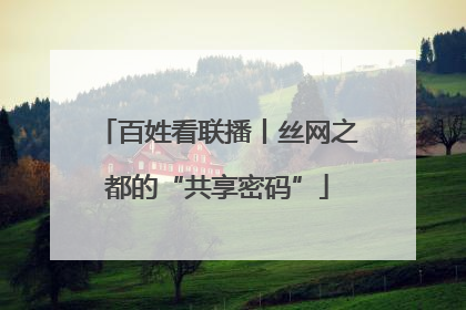 百姓看联播丨丝网之都的“共享密码”