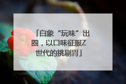 白象“玩味”出圈，以口味征服Z世代的挑剔胃