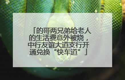 的哥两兄弟给老人的生活费意外被烧，中行友谊大道支行开通兑换“快车道”