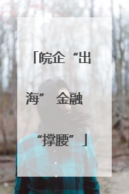 皖企“出海” 金融“撑腰”