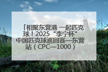 相聚东营港 一起匹克球！2025“李宁杯”中国匹克球巡回赛—东营站（CPC—1000）暨“好运山东”黄河口匹克球公开赛落幕