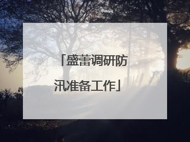 盛蕾调研防汛准备工作