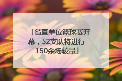 省直单位篮球赛开幕，52支队将进行150余场较量