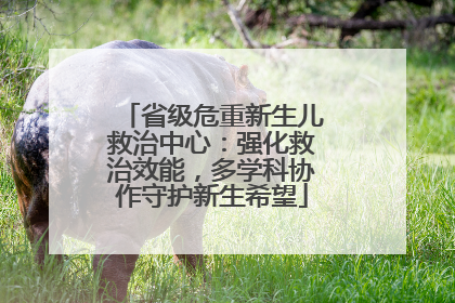 省级危重新生儿救治中心：强化救治效能，多学科协作守护新生希望