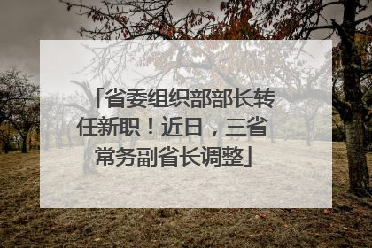省委组织部部长转任新职！近日，三省常务副省长调整