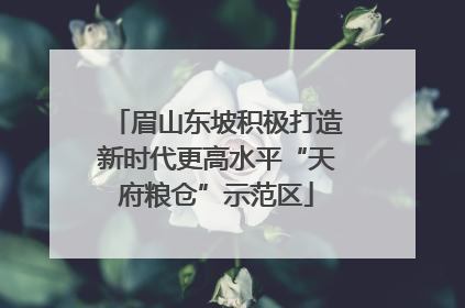 眉山东坡积极打造新时代更高水平“天府粮仓”示范区