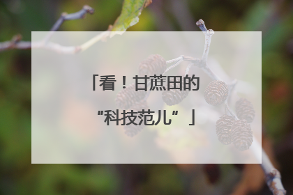 看！甘蔗田的“科技范儿”