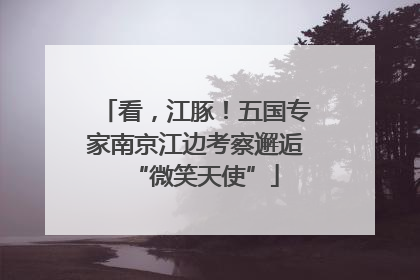 看，江豚！五国专家南京江边考察邂逅“微笑天使”