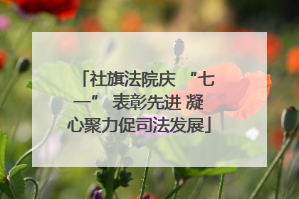 社旗法院庆 “七一” 表彰先进 凝心聚力促司法发展