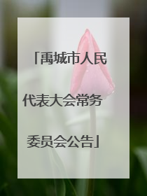 禹城市人民代表大会常务委员会公告