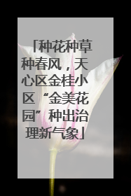 种花种草种春风，天心区金桂小区“金美花园”种出治理新气象