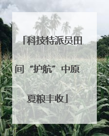 科技特派员田间“护航”中原夏粮丰收