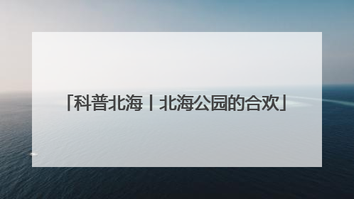 科普北海丨北海公园的合欢