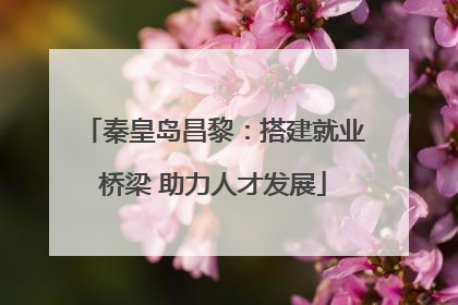 秦皇岛昌黎：搭建就业桥梁 助力人才发展