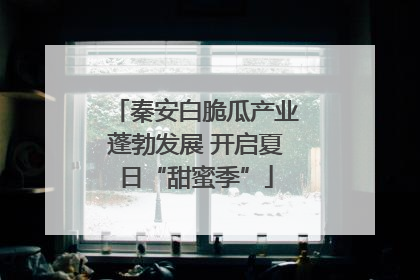 秦安白脆瓜产业蓬勃发展 开启夏日“甜蜜季”