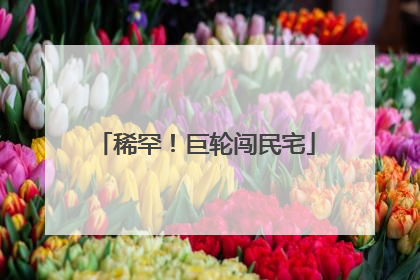 稀罕！巨轮闯民宅