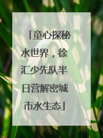 童心探秘水世界，徐汇少先队半日营解密城市水生态
