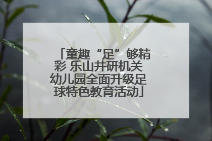 童趣“足”够精彩 乐山井研机关幼儿园全面升级足球特色教育活动
