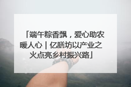 端午粽香飘，爱心助农暖人心｜亿膳坊以产业之火点亮乡村振兴路