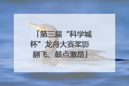 第三届“科学城杯”龙舟大赛桨影翻飞、鼓点激昂