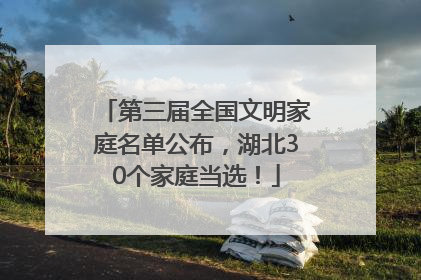 第三届全国文明家庭名单公布，湖北30个家庭当选！
