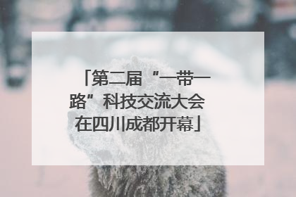 第二届“一带一路”科技交流大会在四川成都开幕