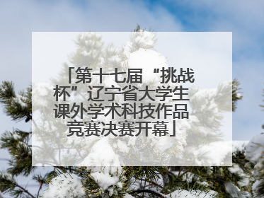 第十七届“挑战杯”辽宁省大学生课外学术科技作品竞赛决赛开幕