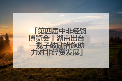 第四届中非经贸博览会丨湖南出台一揽子鼓励措施助力对非经贸发展