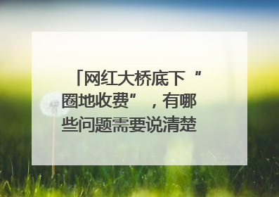 网红大桥底下“圈地收费”，有哪些问题需要说清楚｜新京报快评