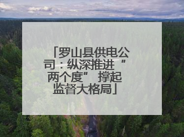 罗山县供电公司：纵深推进“两个度” 撑起监督大格局