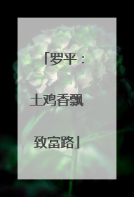 罗平：土鸡香飘致富路