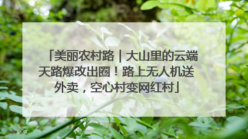 美丽农村路｜大山里的云端天路爆改出圈！路上无人机送外卖，空心村变网红村
