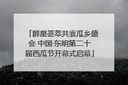 群星荟萃共襄瓜乡盛会 中国·东明第二十届西瓜节开幕式启幕