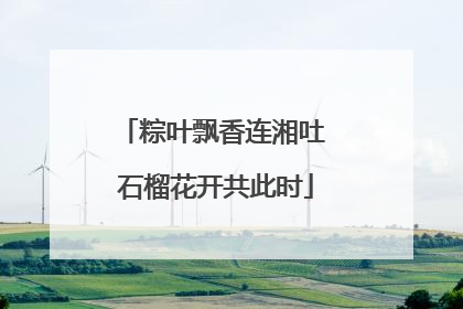 粽叶飘香连湘吐 石榴花开共此时