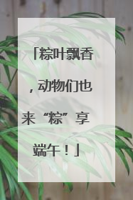 粽叶飘香，动物们也来“粽”享端午！