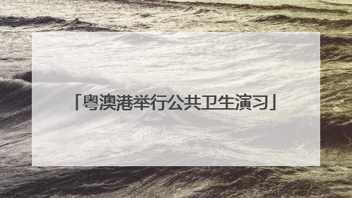 粤澳港举行公共卫生演习